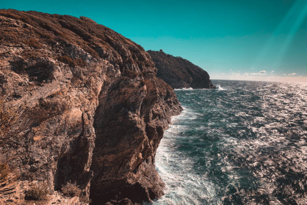 A1AE9D51-6C68-4067-AF25-ECEE7BB2C369_1_201_a